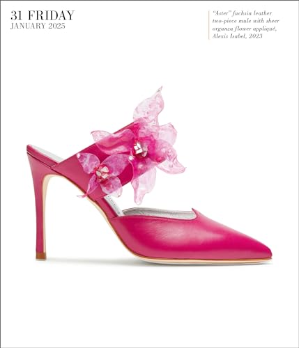 Shoes Page-A-Day Gallery Calendar 2025: Everyday a New Pair to Indulge the Shoe Lover's Obsession - Image 4