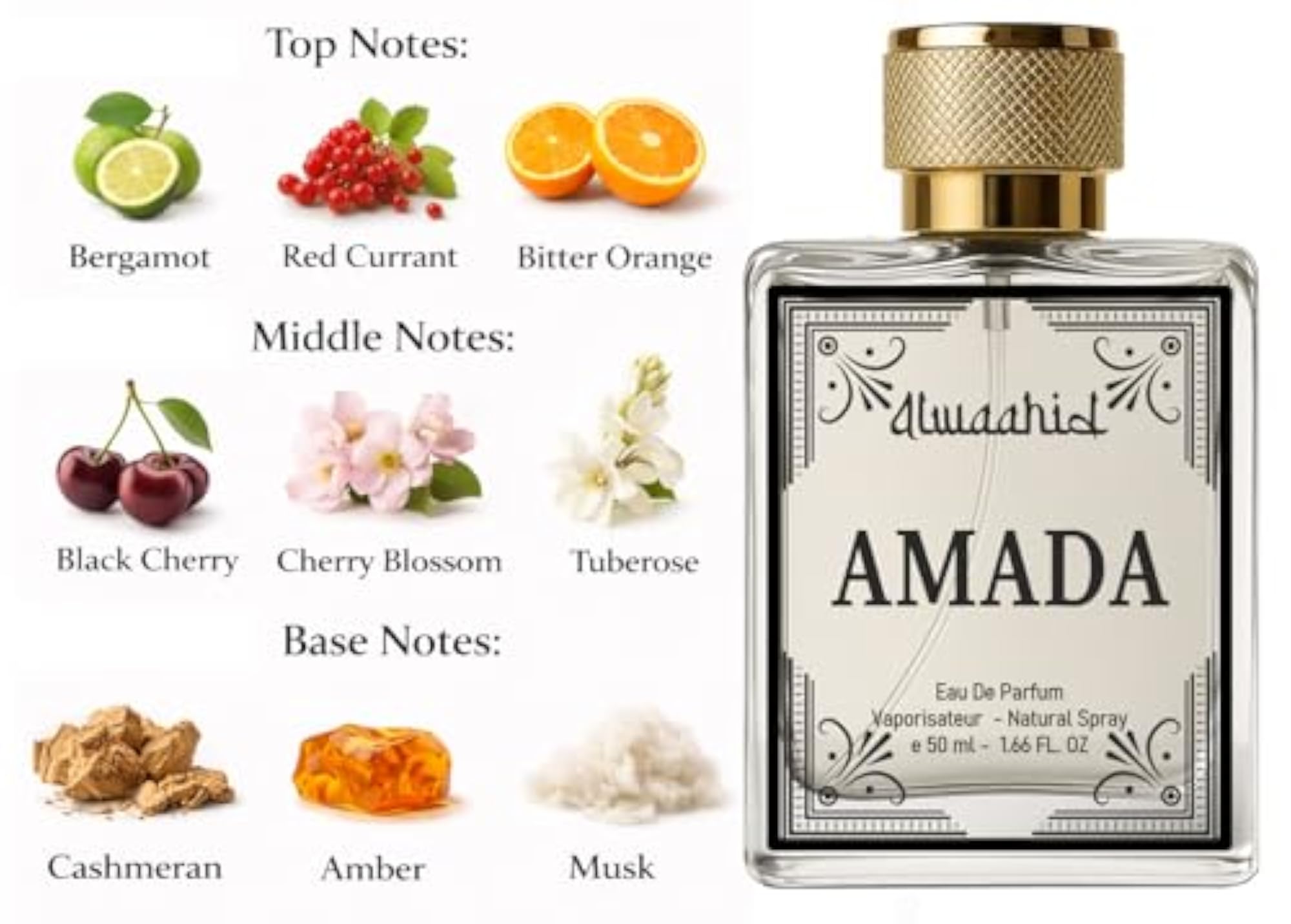 AMADA by 50ml Eau De Parfum