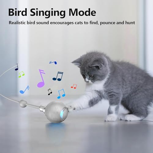 Balle pour chat mobile et connectée avec 3 modes pour stopper l'ennui du félin