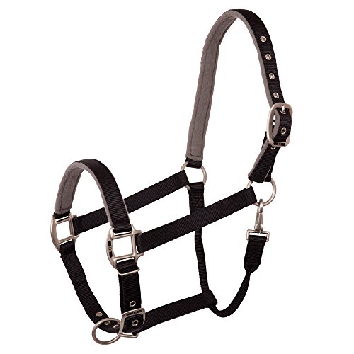 Halfter BR Event azul de cincha fuerte para caballo grande 3