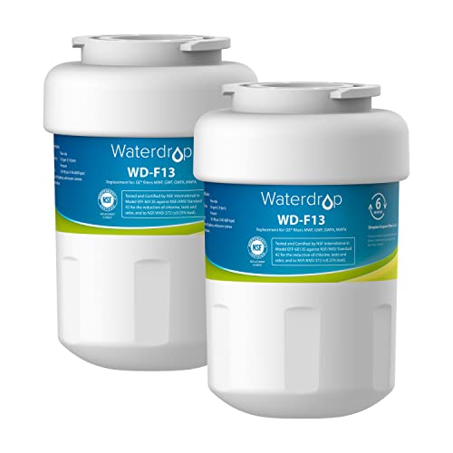 Waterdrop MWF Refrigerator Water Filter, Replacement for GE Smart Water MWF, MWFINT, MWFP, MWFA, GWF, HDX FMG-1, GSE25GSHECSS, WFC1201, RWF1060, 197D6321P006, Kenmore 9991, r-9991, 2 Filters