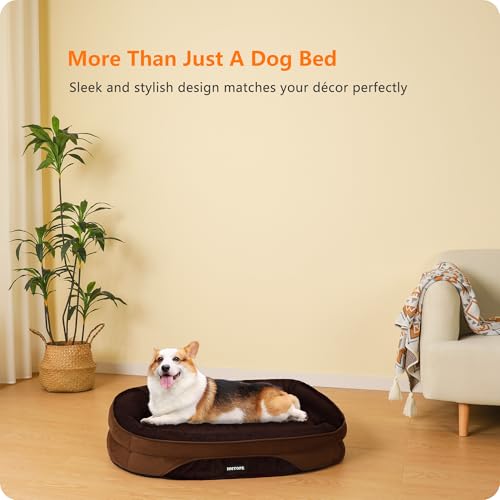 HMTOPE Orthopädisches Hundebett, Hundesofa, Vierseitiges Nackenrolle Kissen, rutschfeste Unterseite Hundekorb, Abnehmbar und Waschbar, Kleine Hunde, Mittelgroße Hunde, 90 x 71 x 15 cm, Braun