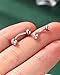 COCHARM Cute Titanium Rook Earrings 16g Silver Surgical Steel Rook Piercing Jewelry 8mm Vertical Labret Lip Stud Threaded Screw on Dainty Rook Bar Nickel Free