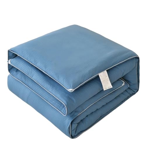 GYBBHia Doble Primavera y Otoño Engrosado Núcleo de Invierno Algodón Seda Seda Algodón(4kg)