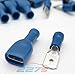 Produktbild Kabelschuhe x 100 - Flachstecker Blau x 50 / Flachsteckhülsen Blau x 50 - Steckmaß 6,3 mm, Quetschverbinder, Isolierte - Für Kfz, Elektronik und Hobby - KOSTENLOSER VERSAND!