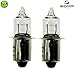Produktbild 2 x Sigma/Philips Fahrrad Halogen Glühbirnen 6V/2,4W/0,4A