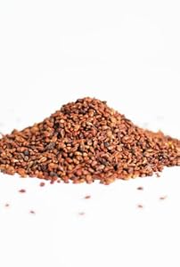 Vitis Vital Traubenkerne lose 5kg