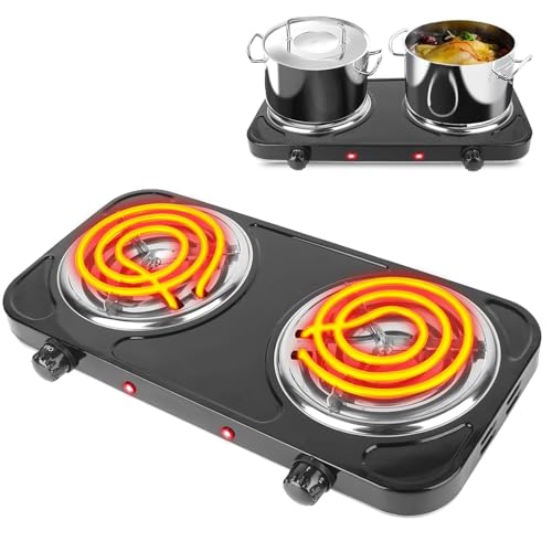 TeqHome 2000W Dual Burner