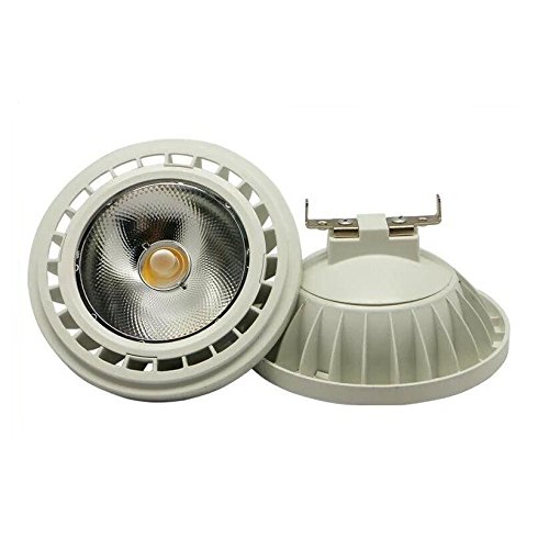 Ondenn 10 W LED AR111 G53 base spot Light Warm Whith LED 12 Volt AC DC, confezione da 2