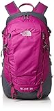 [ザ・ノース・フェイス] リュック テルス25 NM61811 ワイルドアスターピンク One Size