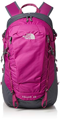 [ザノースフェイス] リュック Tellus 25 テルス25 NM61811 ワイルドアスターピンク