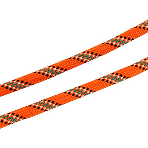 HYDDNice 4PCS 8mm (5/16") Eye-to-Eye Rock Climbing Rope 30inch/45inch Length (30)