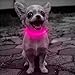 Candofly Puppy Light Up Dog Collar - USB Rechargeable LED Dog Collar for Small Dogs & Cats Night Walking (X-Small, Pink)
