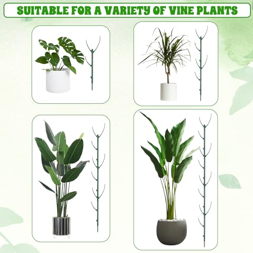5Pcs Stackable Monstera Plant Support Stake Stem Holder Structures Frame & Plant Cage Support Ring for Sphagnum Twig Trellis Indoor Outdoor Potted Plants Stick for Vine Training & Stem Stabilization