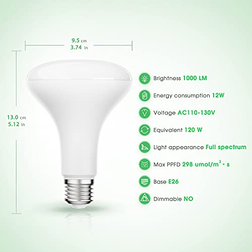 Briignite 4 Pack LED Grow Light Bulb, BR30 Grow Light Bulbs, Full Spectrum Grow Light Bulb 12W, 120W Equivalent, E26 Plant Light Bulbs, Grow Light for Indoor Plants, Seedlings, Greenhouse by Briignite - Image 4
