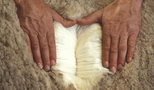 Cardigan Sweaters for Women 100% Wool Polo Neck Open Front Long Sleeve Button2