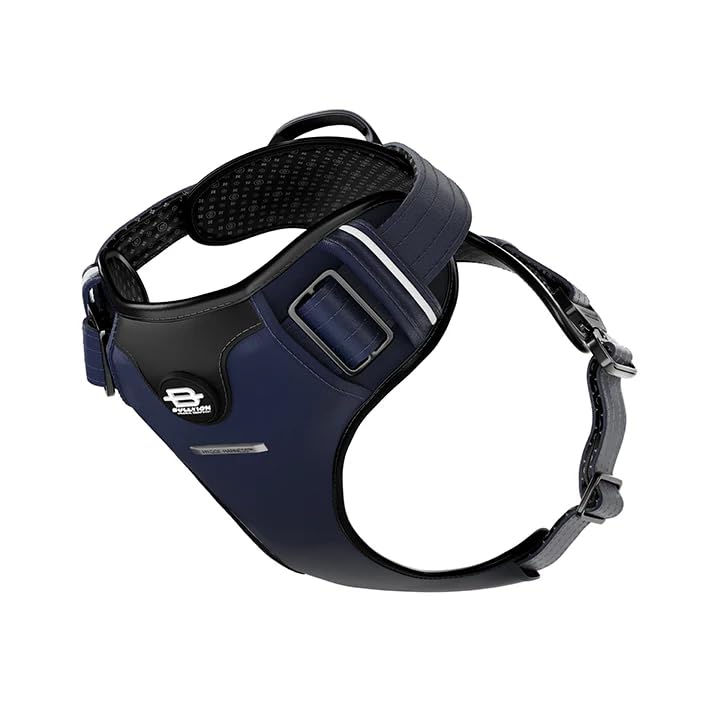Bullyion ® Original Equipment Hygge Harness with Softcell Padding, Adjustable Fit, 3M Reflective Piping, Lockforce Metal Buckle & Grab Handle, Suitable for All Breeds & Sizes Buckingham Blue (Size C)