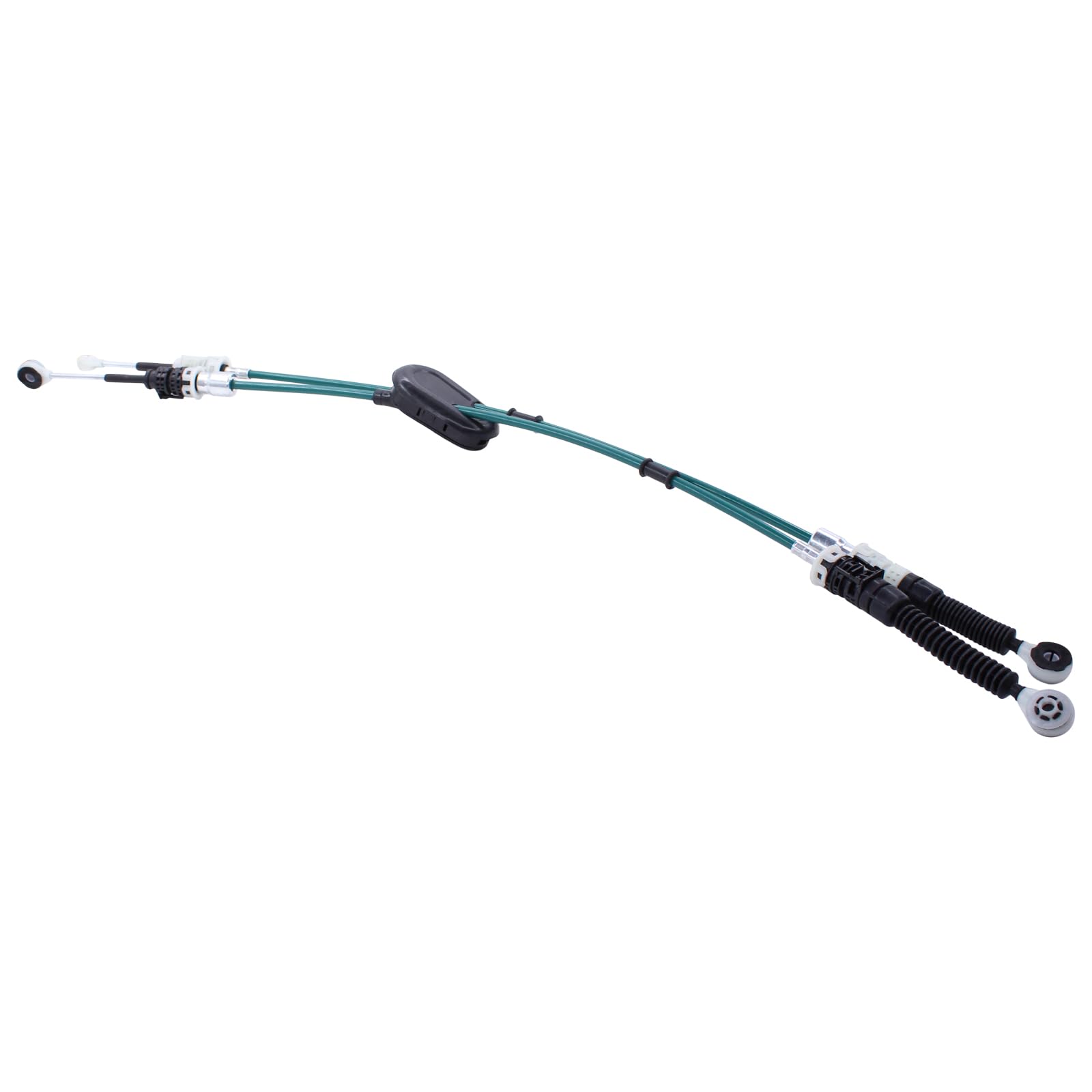 WHAT WE WANT TAKIBIDAIMITAINATABLE (ナラ) WWW_TAKIBIDAIMITAINATABLE – WHAT WE WANT