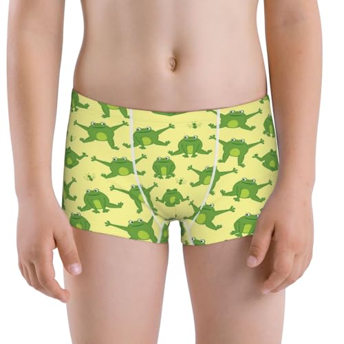Boys' Cotton Boxer Brief Soft Underwear-Funny Frogs