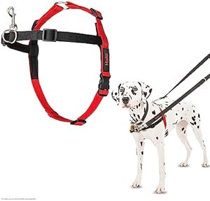 Halti Harness