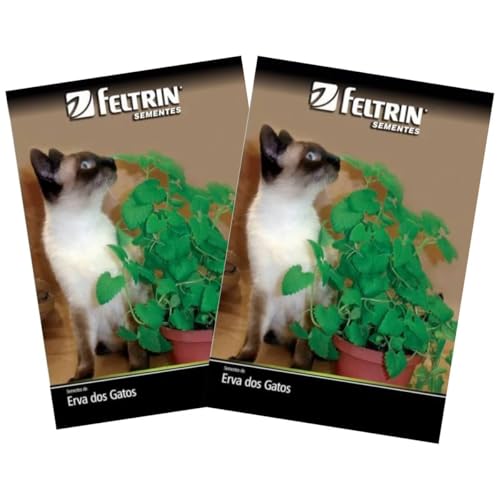 FELTRIN, 2X Sementes de Erva dos Gatos Catnip FELTRIN