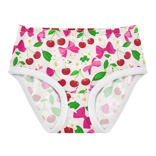 Fruit Cherry Flowers Floral Toddler Girls's Underwear 2T 2301902