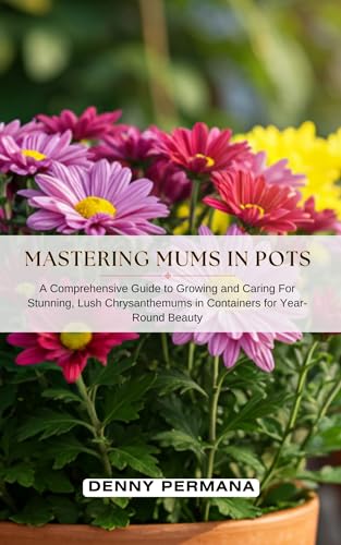 Mastering Mums in Pots: A Comprehensive Guide to Growing and Caring for Stunning, Lush Chrysanthemums in Containers for Year-Round Beauty