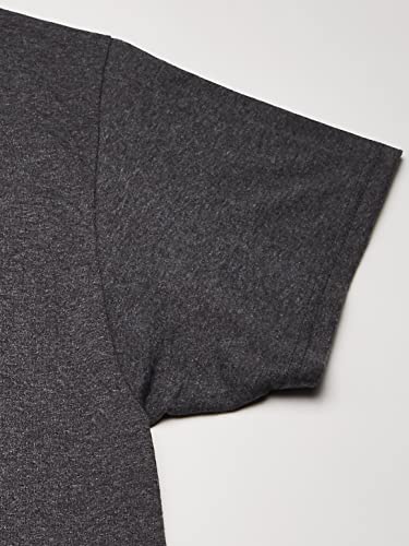 Image of Hanes Men's Ecosmart T-Shirt (Pack of 6)