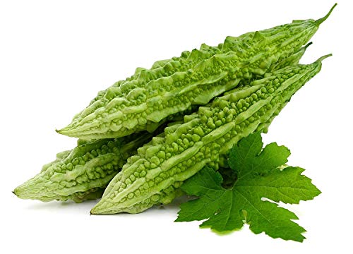 Image of Live Green Vegetable Seeds | Bitter Gourd /Karela | F1 Hybrid | Organic Seeds | For Home And Kitchen Garden | (Pack 2 pkt 20 seeds each)