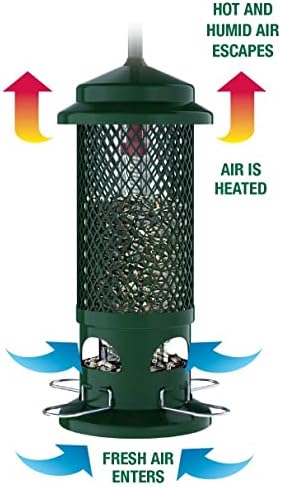 Squirrel-proof Bird Feeder for Small Birds - Jacobi Jayne® Squirrel Buster®  Pigeon Proof Metal Bird Seed Feeder for Wild Birds  Easy Clean Hanging Bird Feeder for Garden Birds