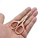 SIXQJZML 1 Pack Antique Vintage Style Scissors Cutter Cutting Embroidery Cross Stitch Sewing Tool - Rose Gold Small Scissors For Office Kids Pack Bulk (MINI 3.6