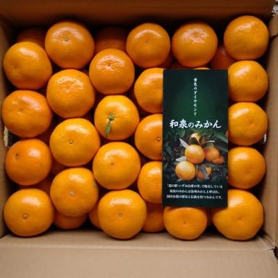 隠れ名産地 和泉みかん温州早生(小玉中玉大玉サイズミックス) 10kg