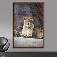 Framed Canvas Wall Art Lions Animals Chic Dramatic Lion Living Room Multicolor Photography - 16x24 inches