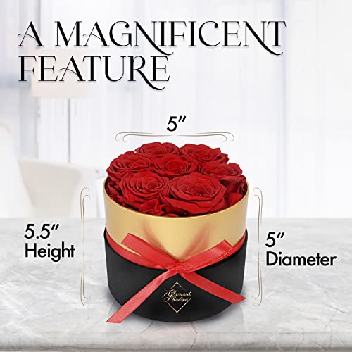 GLAMOUR BOUTIQUE Eternal Preserved Roses in a Box - Flowers Forever, Rose Forever in a Box for Wife, Birthday Gifts for Her, 7 Roses, Red - Image 4