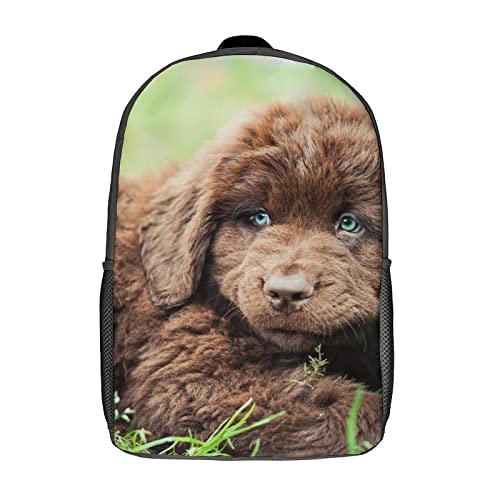 Sac à dos scolaire pour enfants 17 pouces imprimé 3D Chien pour garçon et fille
