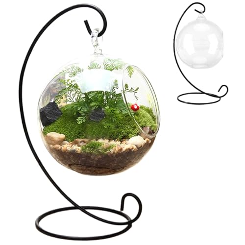 Terrarium pour plantes aériennes Jorzer en verre transparent avec support en fer noir, kit de terrarium amusant à suspendre, kit de petites plantes