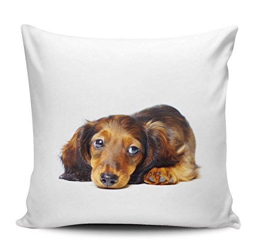 Merchandise for Fans Kissenhülle/Kissenbezug 40x40cm - Motiv: Dackel/Teckel - Langhaardackel liegend | 018