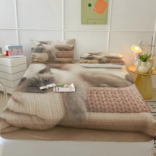 猫ボックスシーツ セミダブル動物ベッドカバー柔らかい通気性マイクロファイバー 3点セット防ダニ高反発 吸水 速乾 抗菌 防臭 防ダニと 2 枕カバー43x63 cm着脱簡単 丸洗い可能 マットレスカバー120x200x30 cm