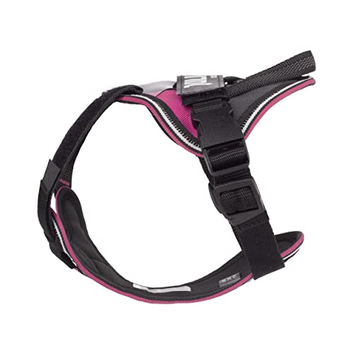 JULIUS-K9 IDC Longwalk Y-Harness, Pink-Gray, Size: 2XS - Image 4