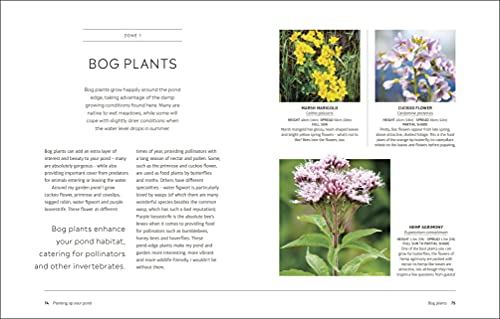 RHS How to Create a Wildlife Pond: Plan, Dig, and Enjoy a Natural Pond in Your Own Back Garden (DK: Royal Horticultural Society (RHS)) - Image 7