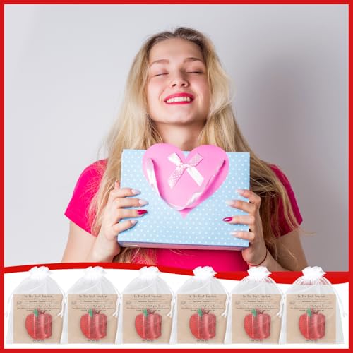 6 pinzas para el pelo de manzana roja con tarjetas de agradecimiento para profesores 7