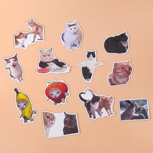 Imán Decorativo de Vinilo GTOTd Gato Divertido 12 Unidades miniatura 6