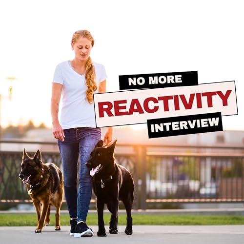 Page de couverture de Ep. 33 - Stop Leash Reactivity: Transform Your Walks with Stephanie Vichinsky