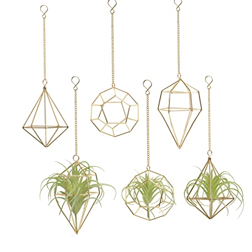libproqia Gold Hanging Air Plants Holders Small Tillandsia Airplants Hangers 6 Pack Geometric Wire Himmeli Air Fern Display Planter with Chains Airferns Metal Hanging Holders