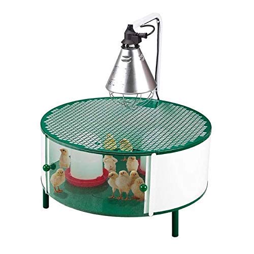 Suinga Maison pour Poussins avec Accessoires | Éclosoir 20-30 Poussins | Cage reproducteurs 72x72x79 cm avec Chauffage