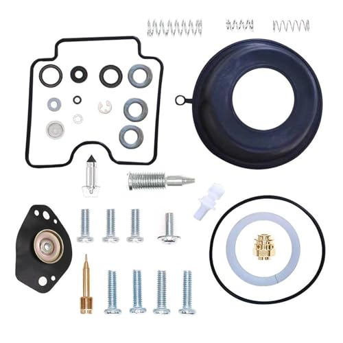 Kit carburateur Can-Am DS 650 remplace MK-BSR42-04 étanchéité maximale