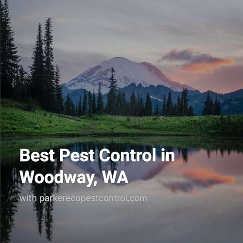 Best Pest Control in Woodway, WA