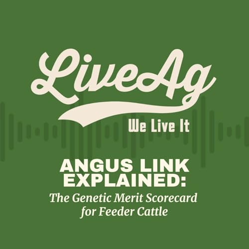 AngusLink Explained: The Genetic Merit Scorecard for Feeder Cattle