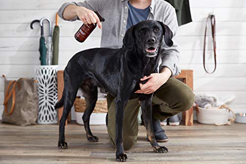 The Spruce Waterless Pet Wash, No Rinse Moisturizing Shampoo For Pets - Daily Pet Care - Cleaning, Cleansing, And Conditioning For Dogs, Puppies, And Cats - Lavender, 17Oz, 2 Pack #TOP3