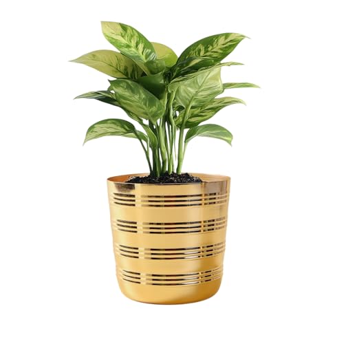 Image of Gold Ribbed Metal Planter Pot Decorative Indoor Flower Planter for Living Room & Tabletop Tabletop Home Decor Gifting (5 inch,Gold)